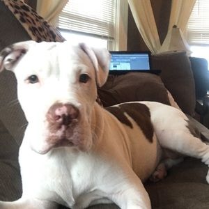 Meet your Posher, Tiffany